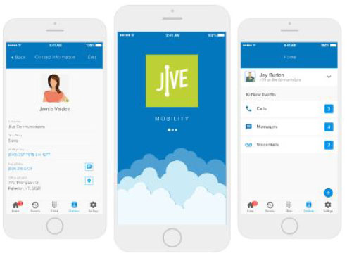 voice features
